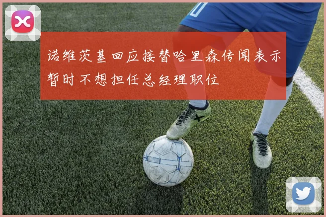 诺维茨基回应接替哈里森传闻表示暂时不想担任总经理职位