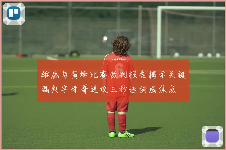 雄鹿与黄蜂比赛裁判报告揭示关键漏判字母哥进攻三秒违例成焦点