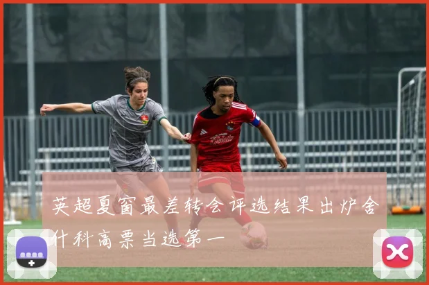 英超夏窗最差转会评选结果出炉舍什科高票当选第一