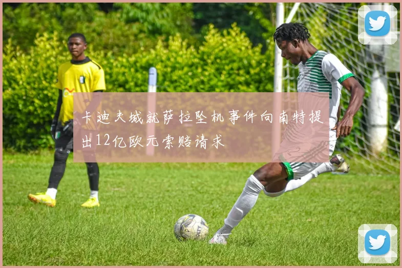 卡迪夫城就萨拉坠机事件向南特提出12亿欧元索赔请求