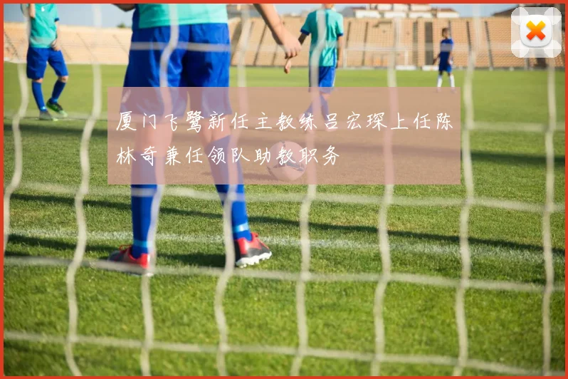 厦门飞鹭新任主教练吕宏琛上任陈林奇兼任领队助教职务