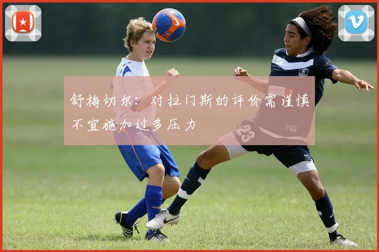 舒梅切尔：对拉门斯的评价需谨慎不宜施加过多压力